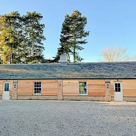 Fern Tree - Uk50962 *