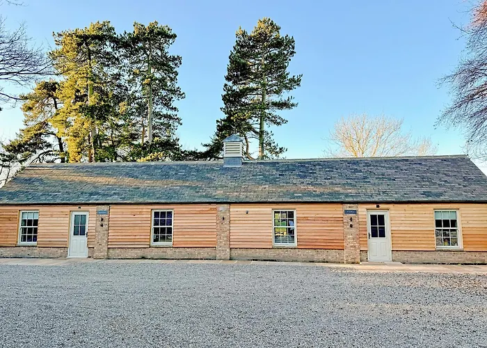 Fern Tree - Uk50962 *